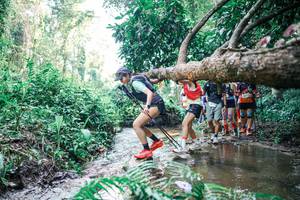 BIB: 
                            <button type="button" onclick="openModal(25467740)" class="btn btn-primary btn-sm float-right btn-popup" data-toggle="modal" data-target=".modal-high-quality">
                        <i class="fas fa-shopping-cart"></i> Add to Cart
                    </button>
                                            <button type="button" onclick="isThisMe(25467740, true)" class="btn btn-success btn-sm float-right btn-popup btn-isme hidden" data-toggle="tooltip" data-placement="bottom" title="นี่คือรูปของคุณใช่ไหม คลิกที่นี่เพื่อเอาเข้าอัลบั้ม">
                        <i class="fas fa-plus"></i> Add to album
                    </button>
                    <button type="button" onclick="isThisMe(25467740, false)" class="btn btn-warning btn-sm float-right btn-popup btn-isnotme hidden">
                        <i class="fas fa-ban"></i> Remove from album
                    </button>